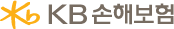 KB손해보험 암보험